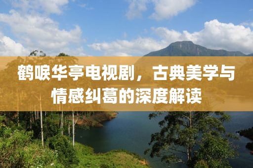 鹤唳华亭电视剧，古典美学与情感纠葛的深度解读