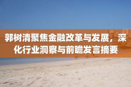 郭树清聚焦金融改革与发展，深化行业洞察与前瞻发言摘要