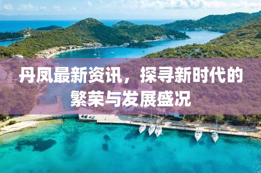 丹凤最新资讯，探寻新时代的繁荣与发展盛况