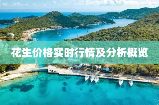 花生价格实时行情及分析概览