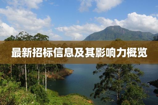 最新招标信息及其影响力概览