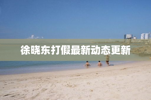 徐晓东打假最新动态更新