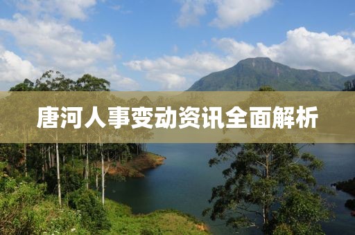 唐河人事变动资讯全面解析