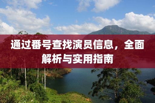 通过番号查找演员信息，全面解析与实用指南