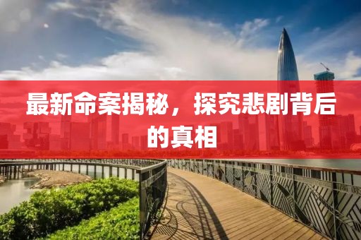 最新命案揭秘，探究悲剧背后的真相