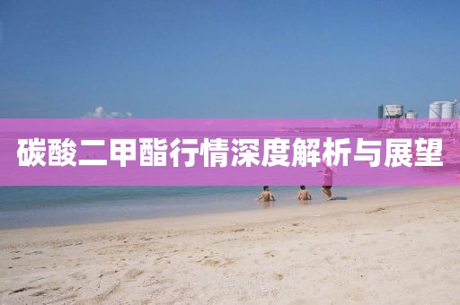 碳酸二甲酯行情深度解析与展望