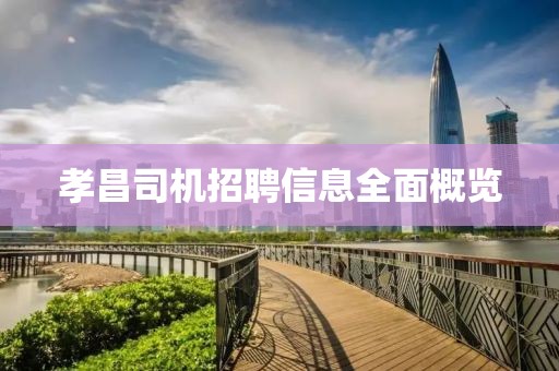 孝昌司机招聘信息全面概览