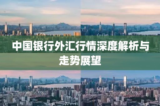 中国银行外汇行情深度解析与走势展望