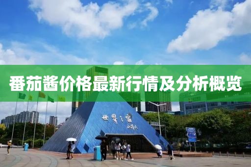 番茄酱价格最新行情及分析概览