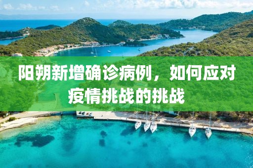 阳朔新增确诊病例，如何应对疫情挑战的挑战