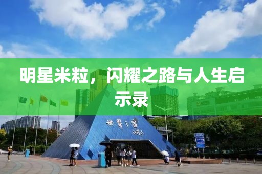 明星米粒，闪耀之路与人生启示录
