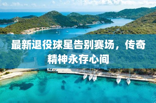 最新退役球星告别赛场，传奇精神永存心间
