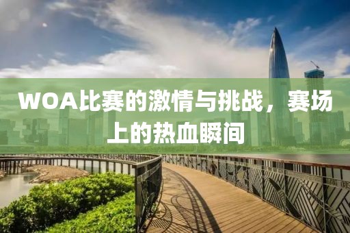 WOA比赛的激情与挑战，赛场上的热血瞬间