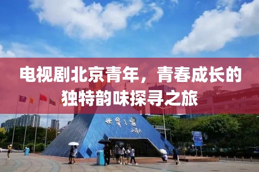 电视剧北京青年，青春成长的独特韵味探寻之旅