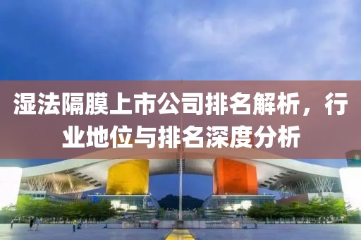湿法隔膜上市公司排名解析，行业地位与排名深度分析