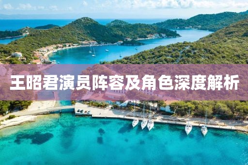 王昭君演员阵容及角色深度解析