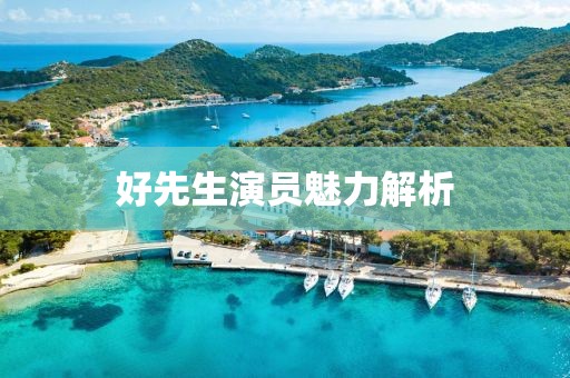 好先生演员魅力解析