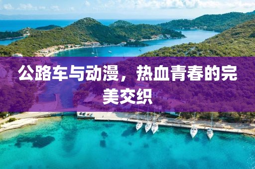 公路车与动漫，热血青春的完美交织