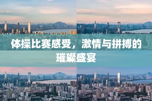体操比赛感受，激情与拼搏的璀璨盛宴