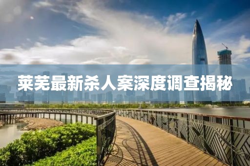 莱芜最新杀人案深度调查揭秘