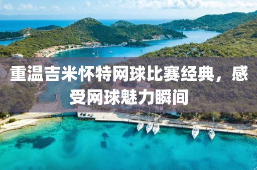 重温吉米怀特网球比赛经典，感受网球魅力瞬间