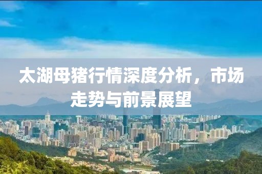 太湖母猪行情深度分析，市场走势与前景展望