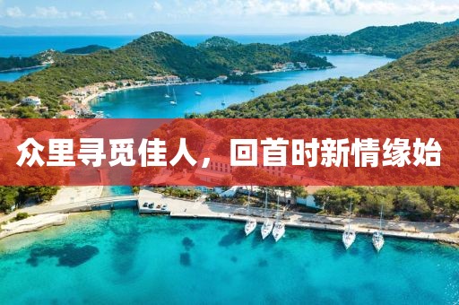 众里寻觅佳人，回首时新情缘始