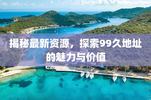 揭秘最新资源，探索99久地址的魅力与价值