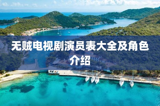 无贼电视剧演员表大全及角色介绍