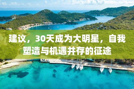 建议，30天成为大明星，自我塑造与机遇并存的征途