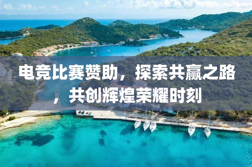 电竞比赛赞助，探索共赢之路，共创辉煌荣耀时刻