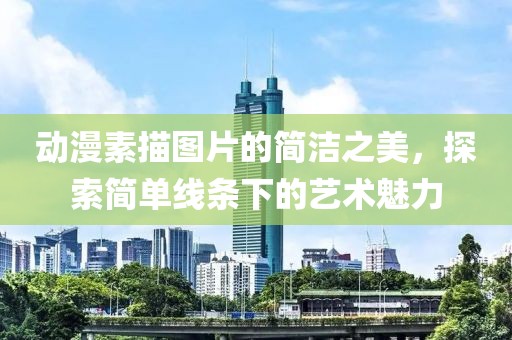 动漫素描图片的简洁之美，探索简单线条下的艺术魅力