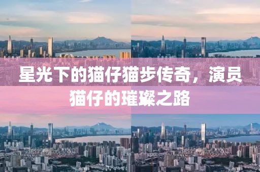 星光下的猫仔猫步传奇，演员猫仔的璀璨之路