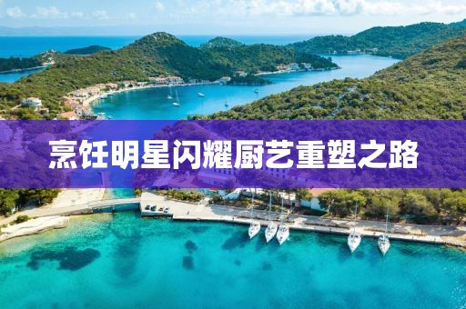 烹饪明星闪耀厨艺重塑之路