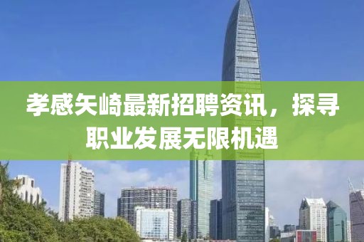 孝感矢崎最新招聘资讯，探寻职业发展无限机遇