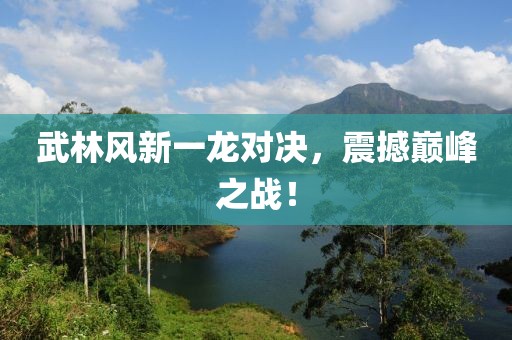 武林风新一龙对决，震撼巅峰之战！