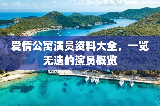 爱情公寓演员资料大全，一览无遗的演员概览