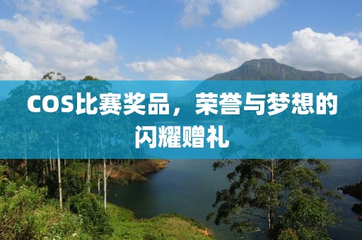COS比赛奖品，荣誉与梦想的闪耀赠礼
