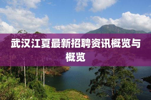 武汉江夏最新招聘资讯概览与概览