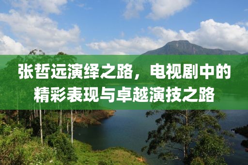 张哲远演绎之路，电视剧中的精彩表现与卓越演技之路