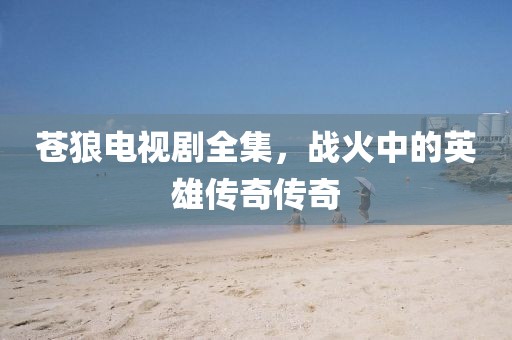 苍狼电视剧全集，战火中的英雄传奇传奇