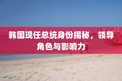 韩国现任总统身份揭秘，领导角色与影响力
