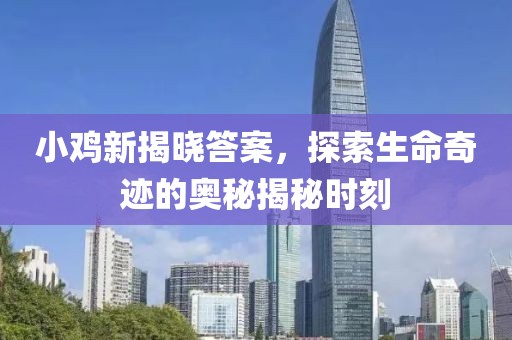 小鸡新揭晓答案，探索生命奇迹的奥秘揭秘时刻