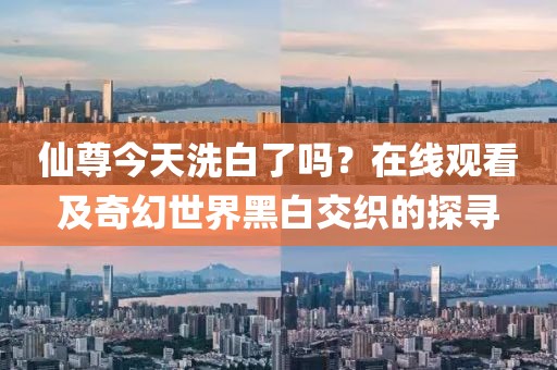 仙尊今天洗白了吗？在线观看及奇幻世界黑白交织的探寻