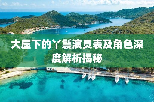 大屋下的丫鬟演员表及角色深度解析揭秘