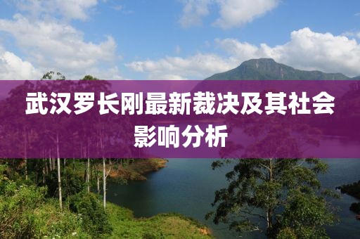 武汉罗长刚最新裁决及其社会影响分析