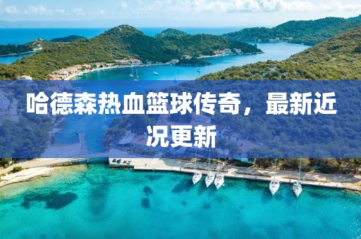 哈德森热血篮球传奇，最新近况更新