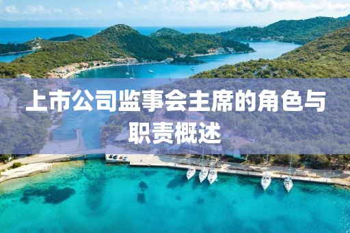上市公司监事会主席的角色与职责概述