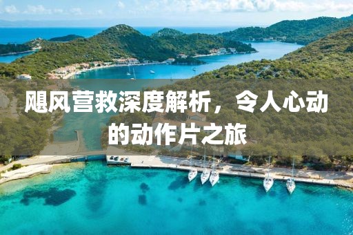 飓风营救深度解析，令人心动的动作片之旅