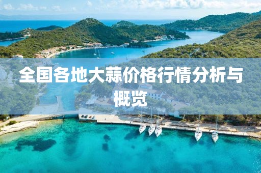 全国各地大蒜价格行情分析与概览